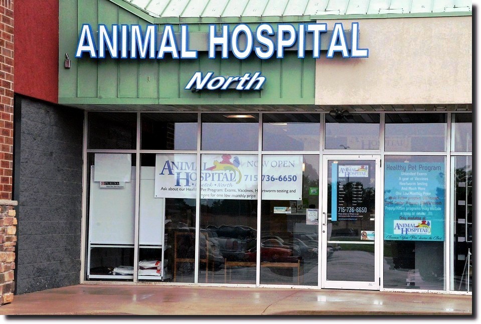 Animal Hospital North Rice Lake Veterinarian