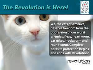 revolution