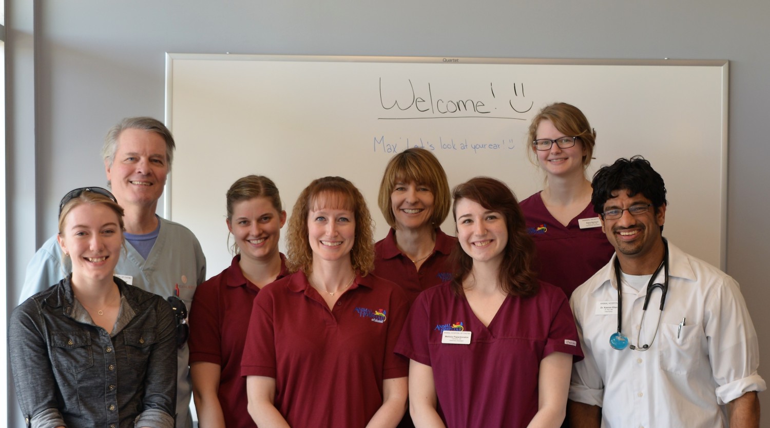 Animal Hospital North Rice Lake Wisconsin and Animal Hospital of Chetek Veterinary Care team Animal Hospital North Rice Lake Wisconsin and Animal Hospital of Chetek Veterinary Care team