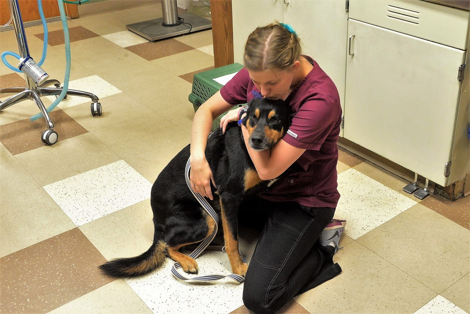 Mari-Lyn comforts a worried pet at the Animal Hospital of Chetek
