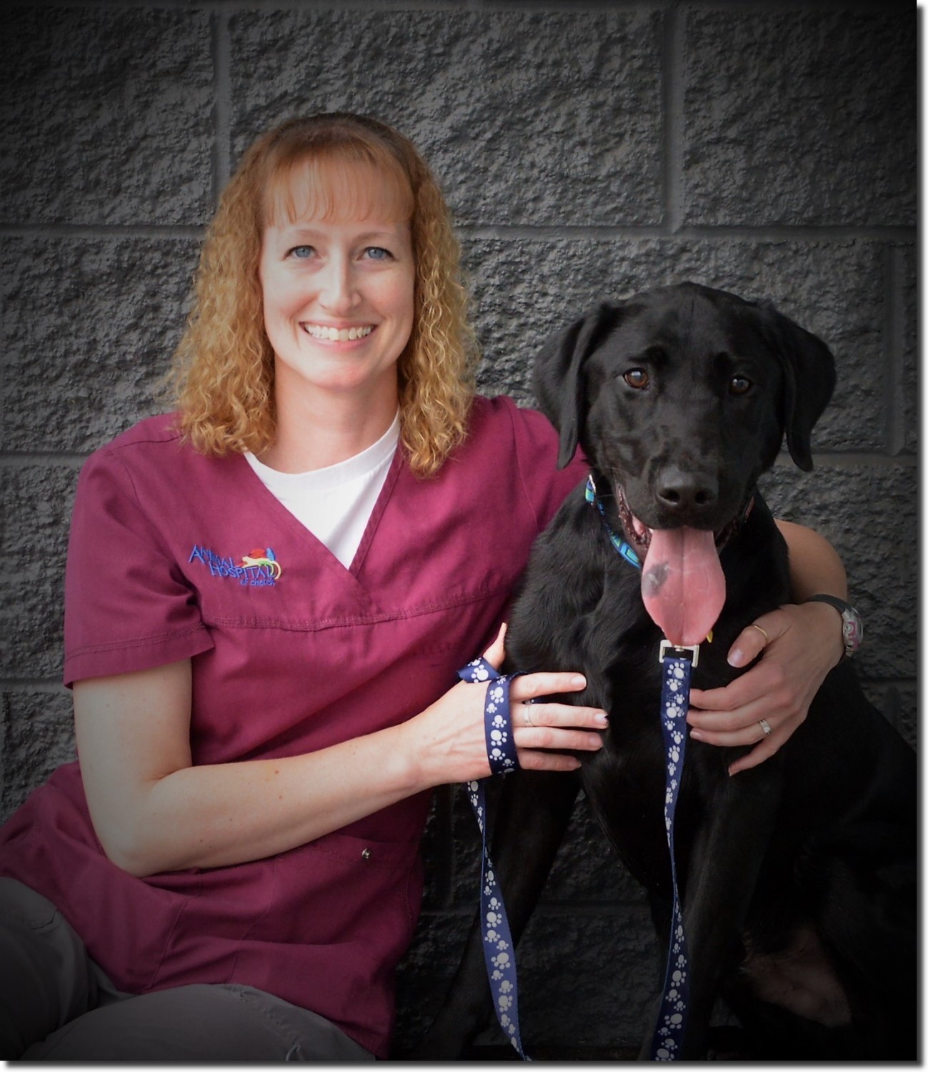 Amber Animal Hospital North Rice Lake Chetek Vet Assistant