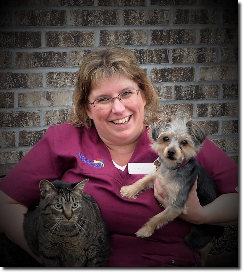 Amy Animal Hospital North Rice Lake Chetek Vet Receptionist