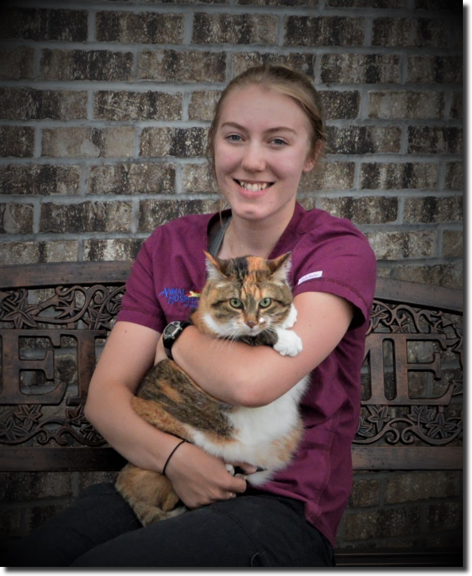 Kylee Animal Hospital North Rice Lake Chetek Kennel Assistant Kylee Animal Hospital North Rice Lake Chetek Kennel Assistant
