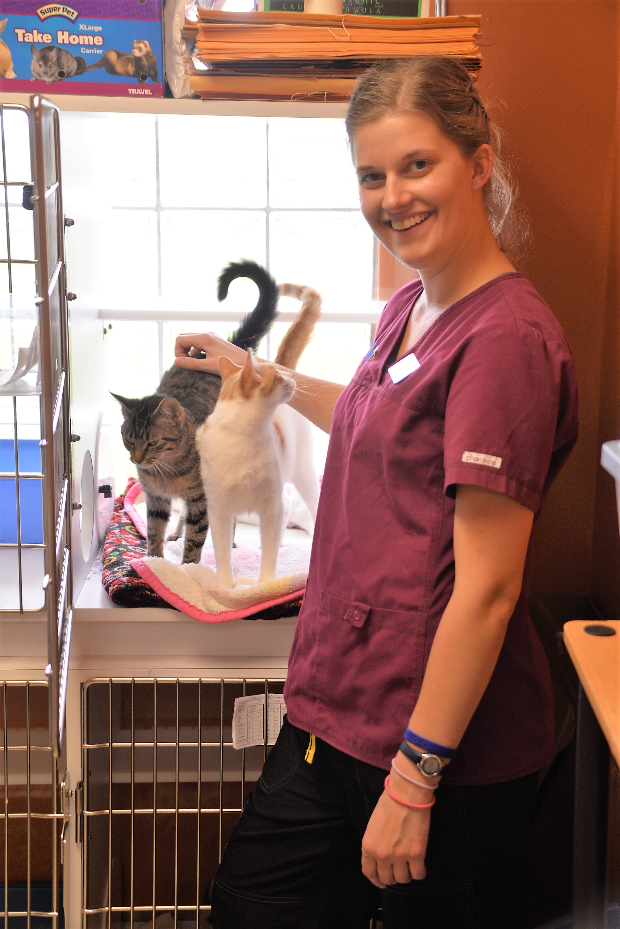 A separate cat ward with natural lighting provides a calm, comfortable, quite environment for cats.